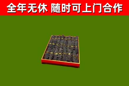 周至回收海参
